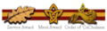 Award ribbon (Scouting Ireland).png