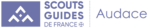 Logo AUDACE.png